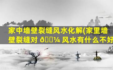 家中墙壁裂缝风水化解(家里墙壁裂缝对 🌼 风水有什么不好)